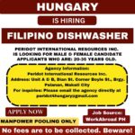 Dishwasher in Hungary