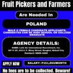 Hiring Fruit Pickers and Farmers in Poland