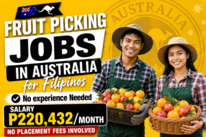 Fruit Picking Jobs in Australia for Filipinos