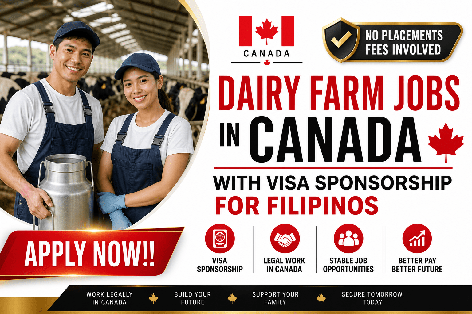 Dairy Farm Jobs in Canada with Visa Sponsorship for Filipinos
