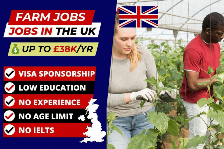 Farm Worker Jobs in UK with Work Visa Sponsorship