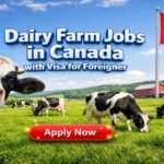 Dairy Farm Jobs in Canada with Visa Sponsorship for Filipinos