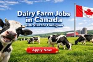 Dairy Farm Jobs in Canada with Visa Sponsorship for Filipinos